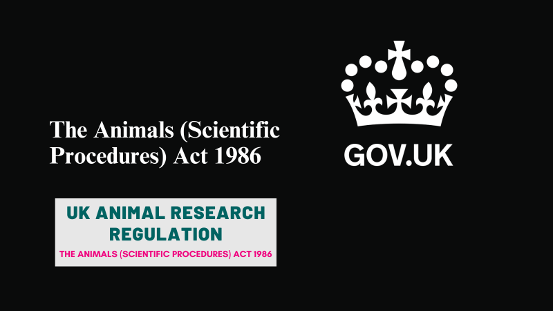 UK animal research regulation