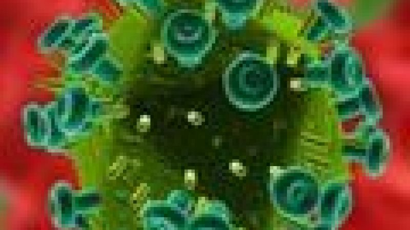 Mice experiments help scientists improve cancer vaccines