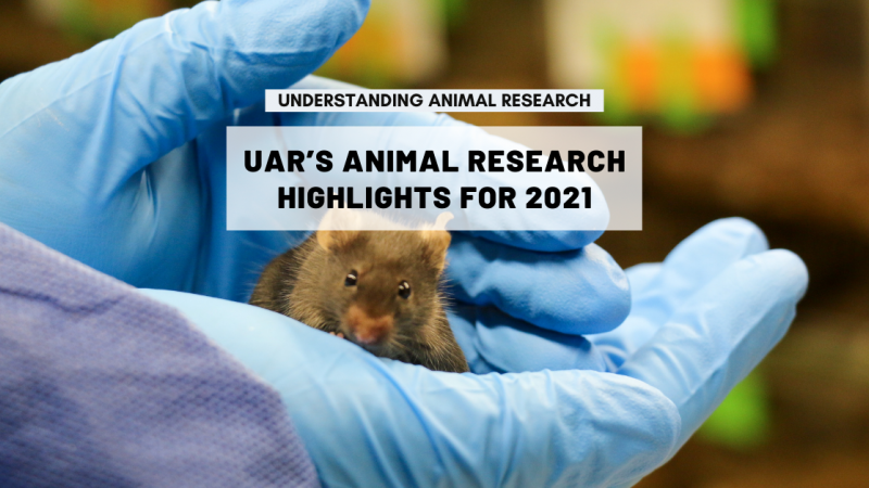 UAR’s animal research highlights of 2021