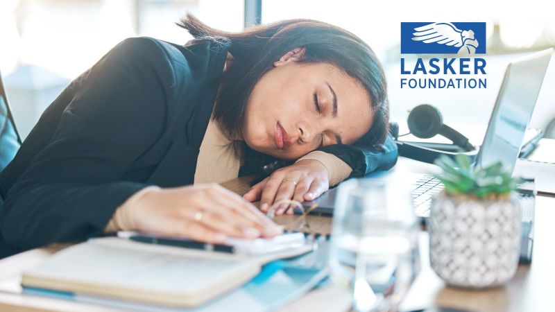 How animals helped solve the mystery of narcolepsy — 2026 Lasker Prize