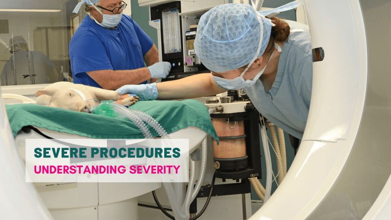 Severe procedures