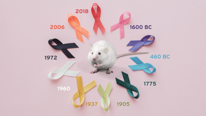 Cancer research in animals: a brief history