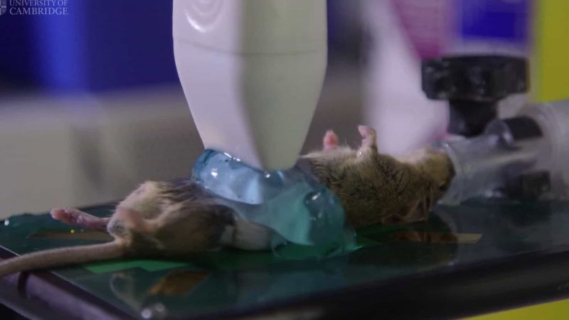 Captured on film: animal research at Cambridge and Imperial College