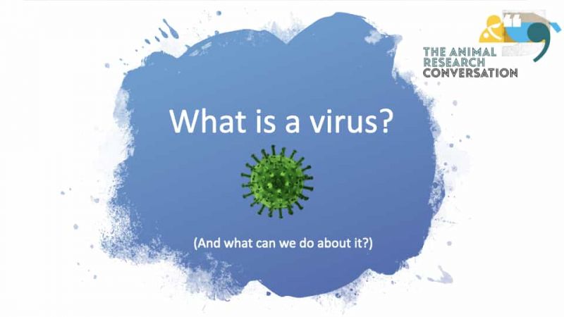 What is a virus?