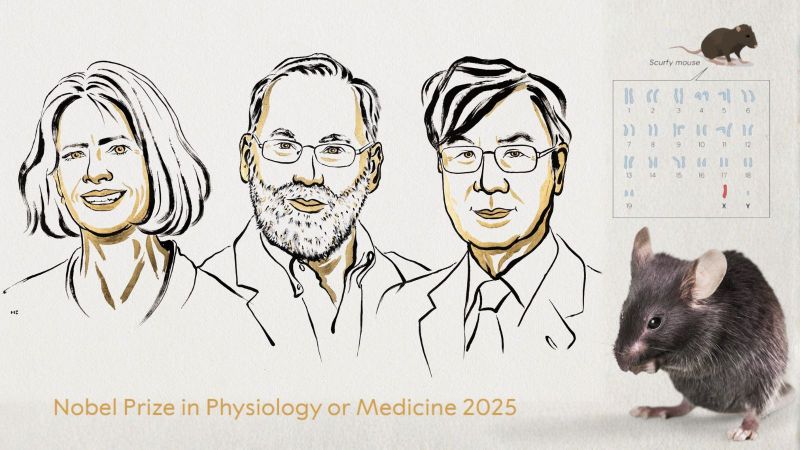 The animal research behind the 2025 Nobel Prize in Physiology or Medicine: keeping the immune system in check