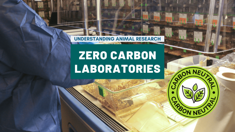 Zero carbon labs