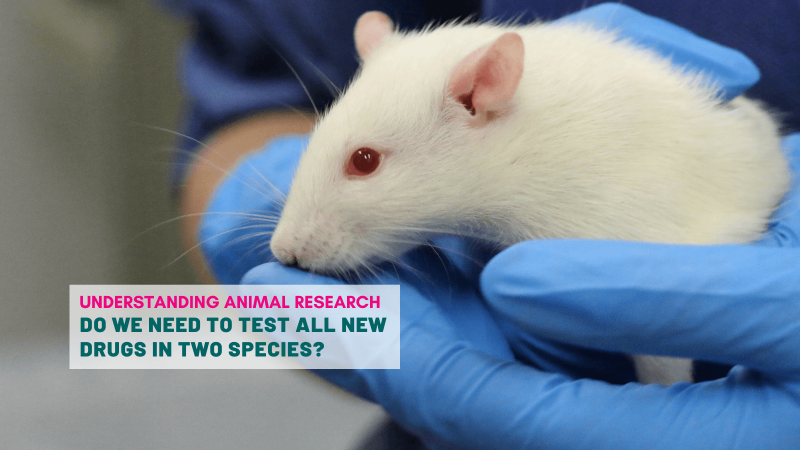 Do we need to test all new drugs in two species?