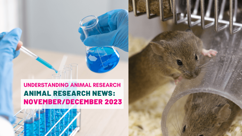 Animal Research News: November and December 2023