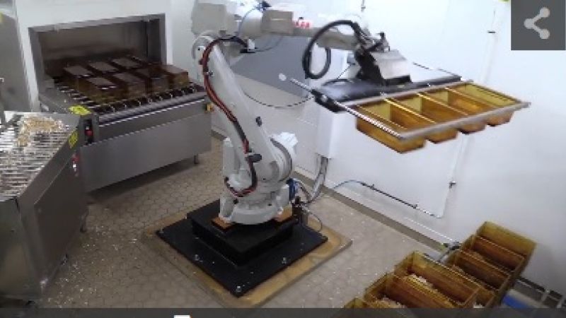 Robots cleaning mice cages