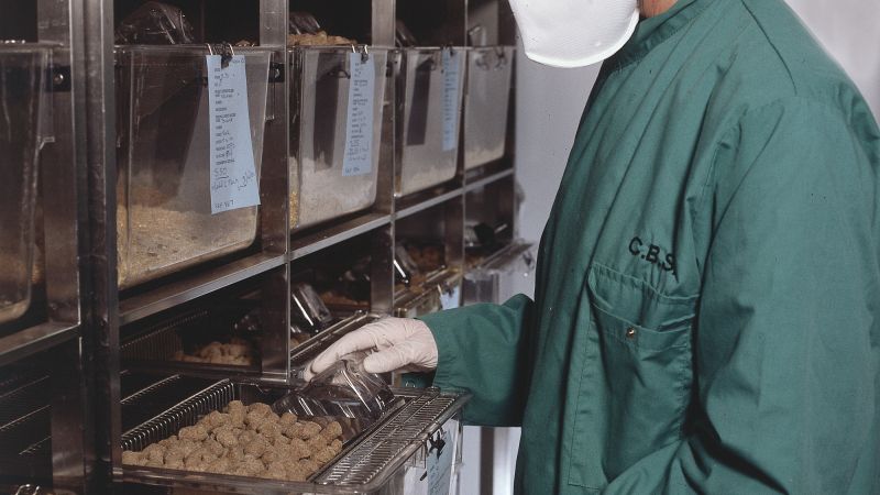 Technician checks white rats