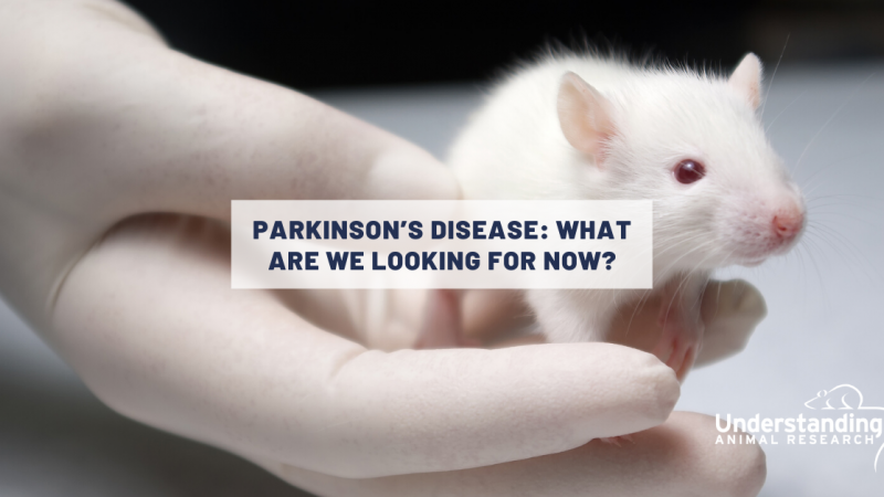 Parkinson’s disease: What are we looking for now?