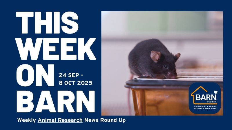This week on BARN - animal research news from UAR members (24 September - 8 October 2025)