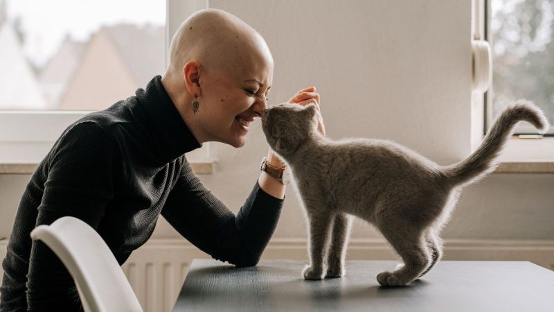 Cats and cancer: what naturally occurring viruses could reveal about cancer