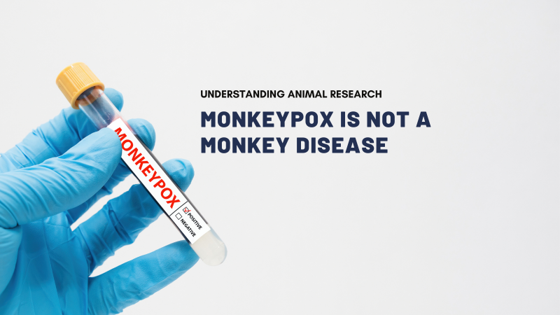 Monkeypox is not a monkey disease