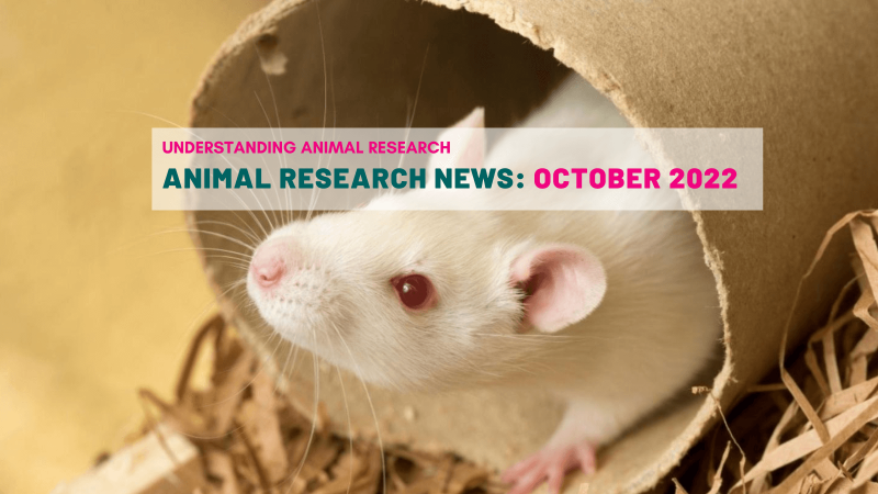 Animal Research News: October 2022