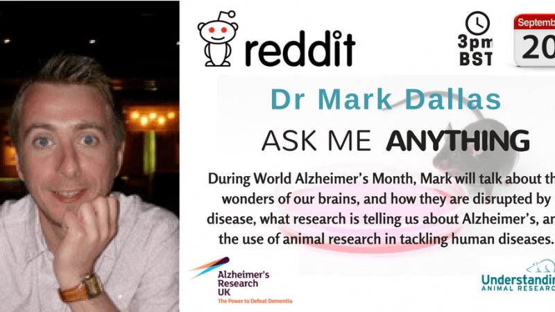 Dr Mark Dallas Reddit Ask Me Anything