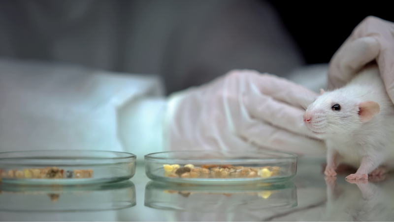 Why science doesn't work without curiosity