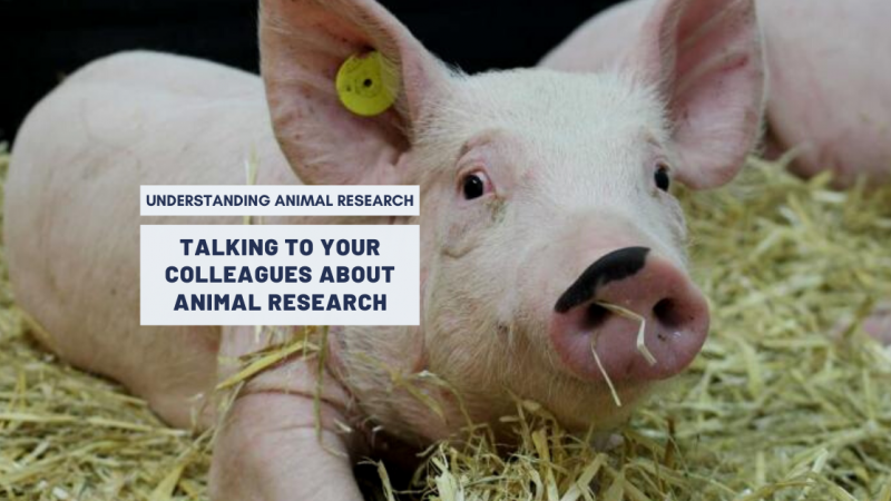 Talking to your colleagues about animal research