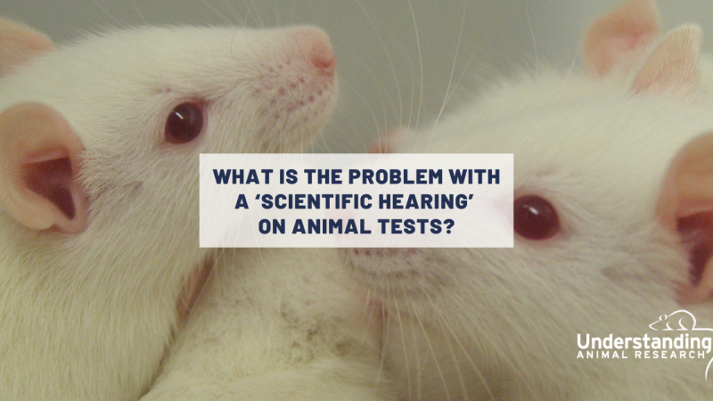 What’s the problem with a ‘scientific hearing’ on animal tests?