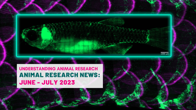 Animal Research News: June and July 2023