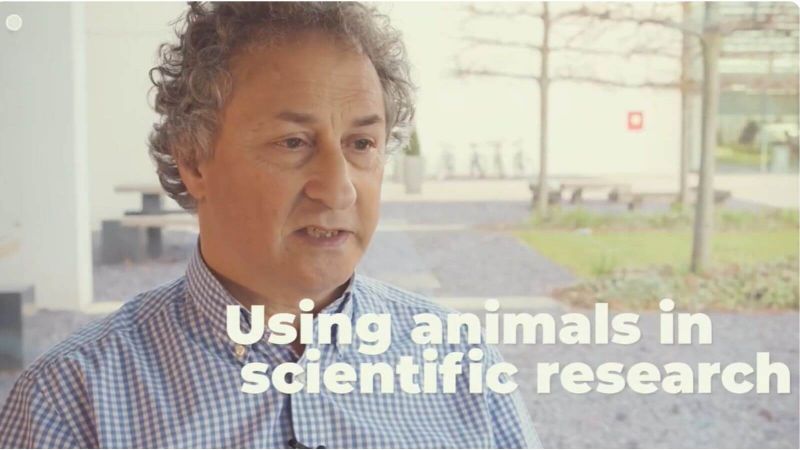 Openness Initiatives in Animal Research