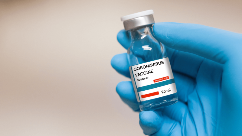 The COVID-19 vaccine for animals :: Understanding Animal Research