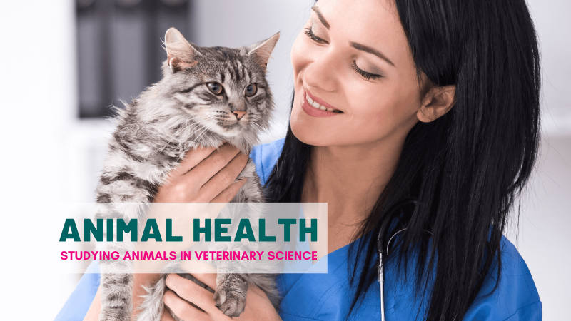 For animal health