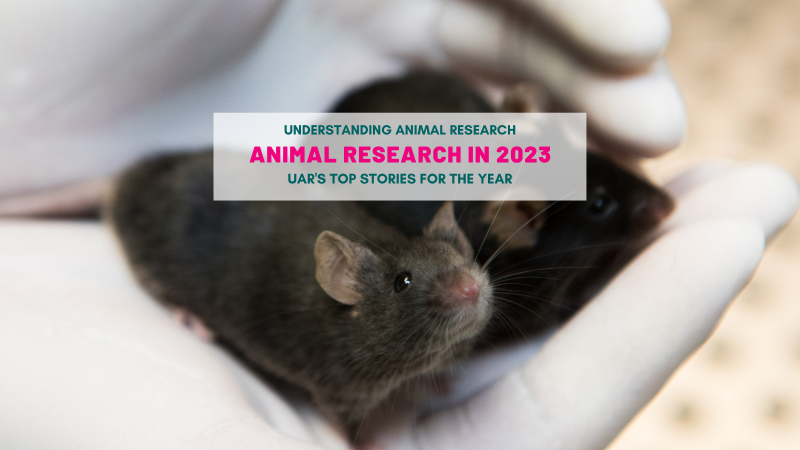 UAR’s Top Animal Research Stories of 2023