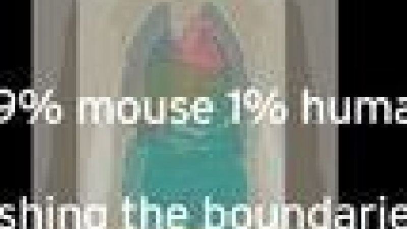 99 percent mouse 1 percent human