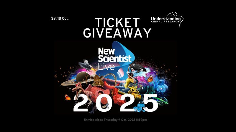 Win tickets to New Scientist Live, ExCel London on 18 October 2025