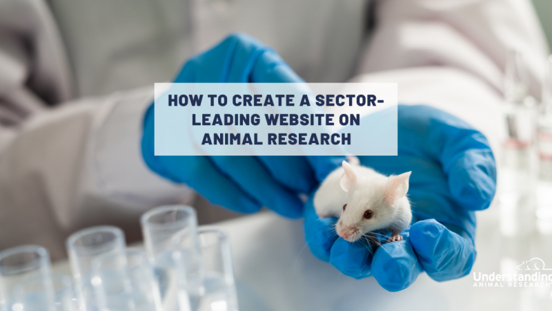 How to create a sector-leading website on animal research