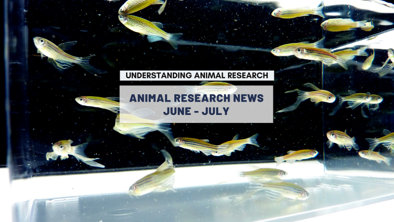 Animal Research News: June and July 2022