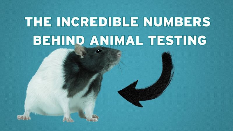The Incredible Numbers Behind Animal Testing