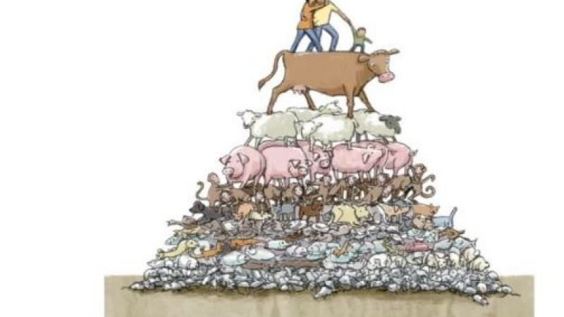 Look before you leap