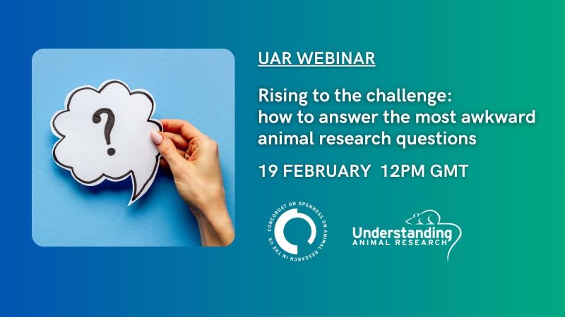 Rising to the challenge: how to answer the most awkward animal research questions - UAR webinar