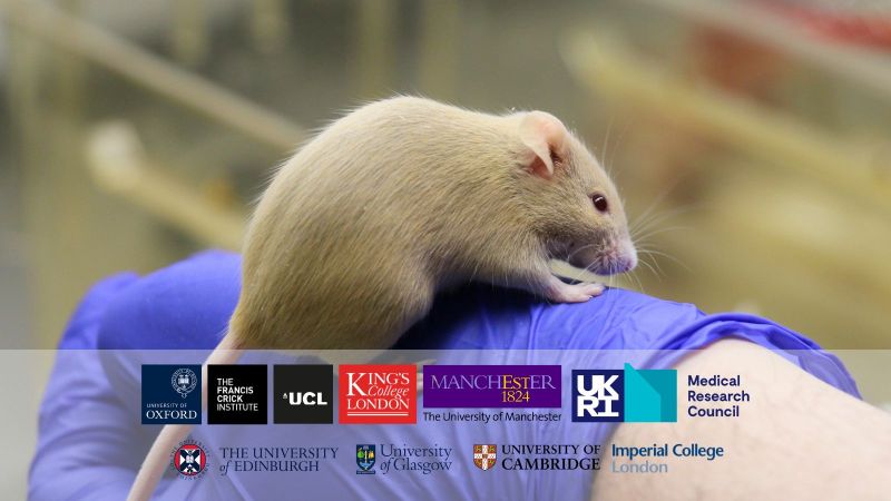 Ten organisations account for a third of all animal research in Great Britain in 2024