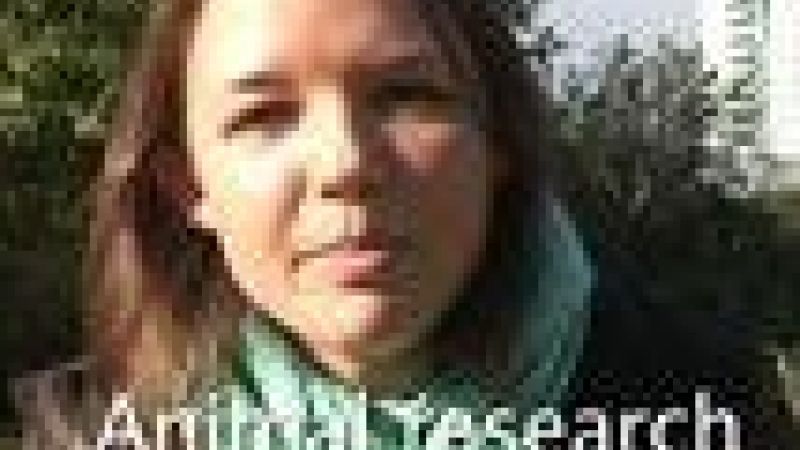 Animal research and diabetes