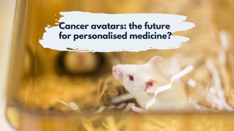 Cancer avatars: the future for personalised medicine?