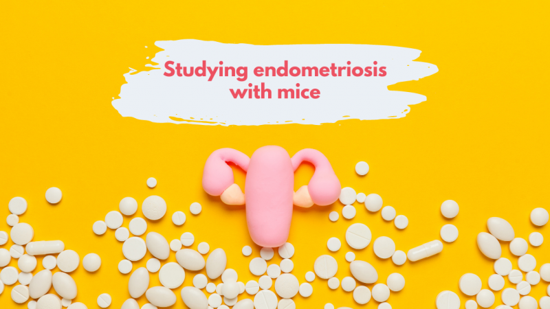 Endometriosis: a painful lack of research