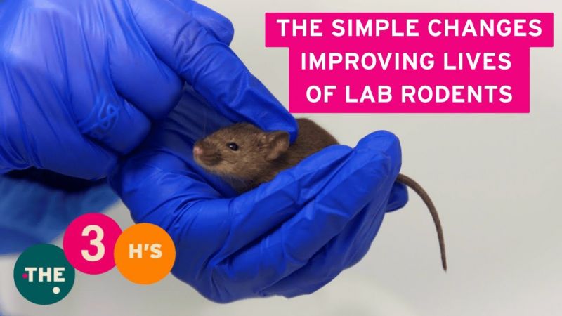 The Simple Changes Improving Lives of Lab Rodents: The 3Hs Initiative