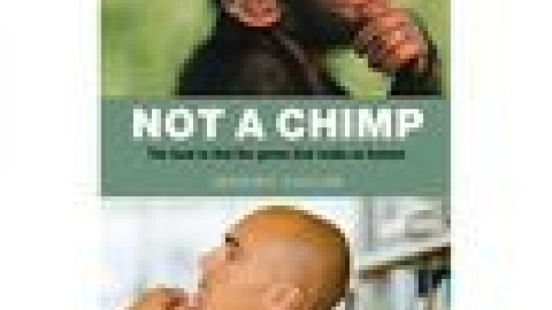 I'm Not a Chimp
