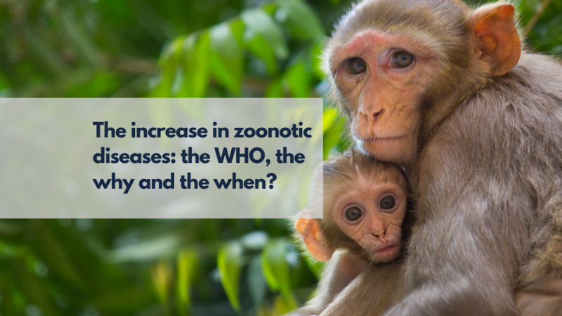 The increase in zoonotic diseases: the WHO, the why and the when?