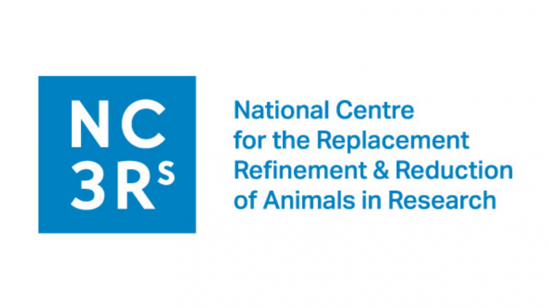 Record amount awarded for research to reduce animal experiments