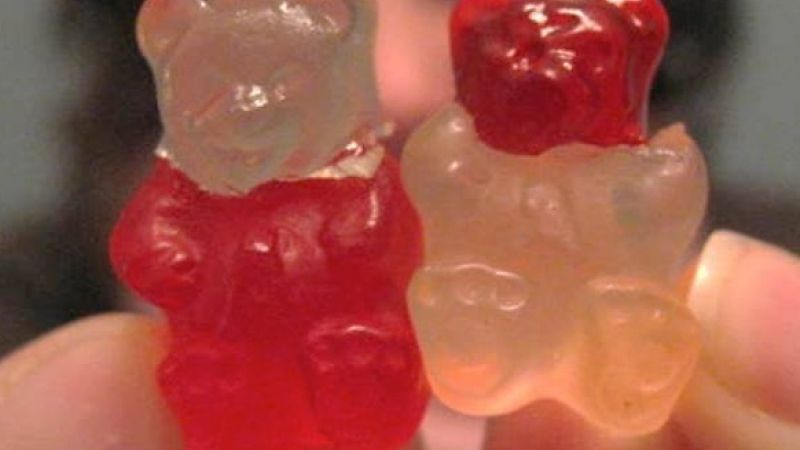 What about sewing the heads of monkeys onto other monkeys?