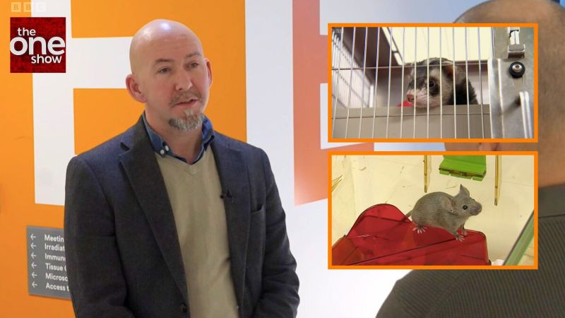 UAR features on The One Show