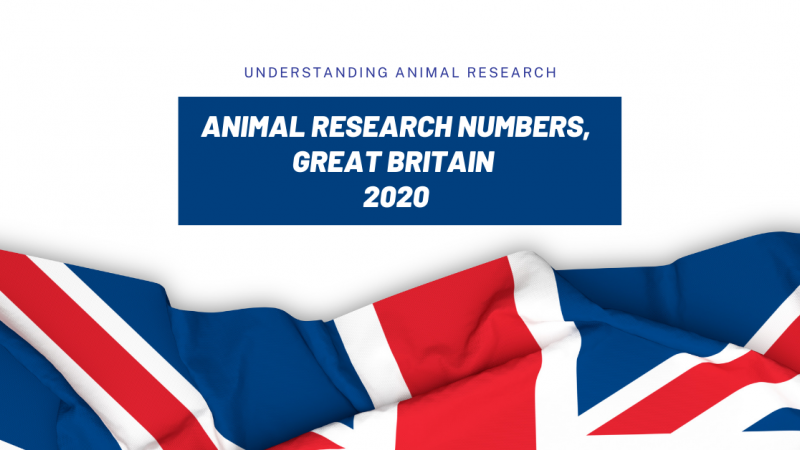 Animal research numbers 2020