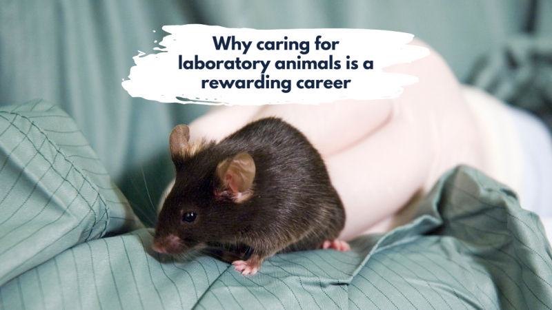 Why caring for laboratory animals is a rewarding career