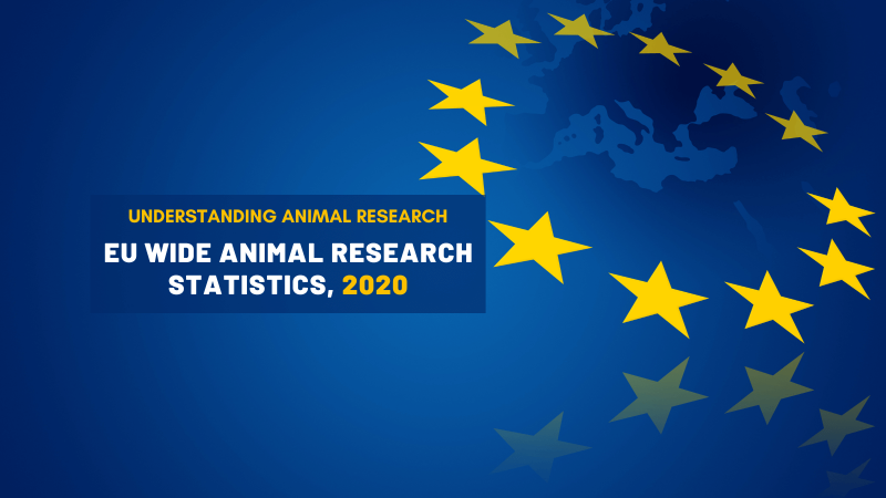 EU-wide animal research statistics, 2020