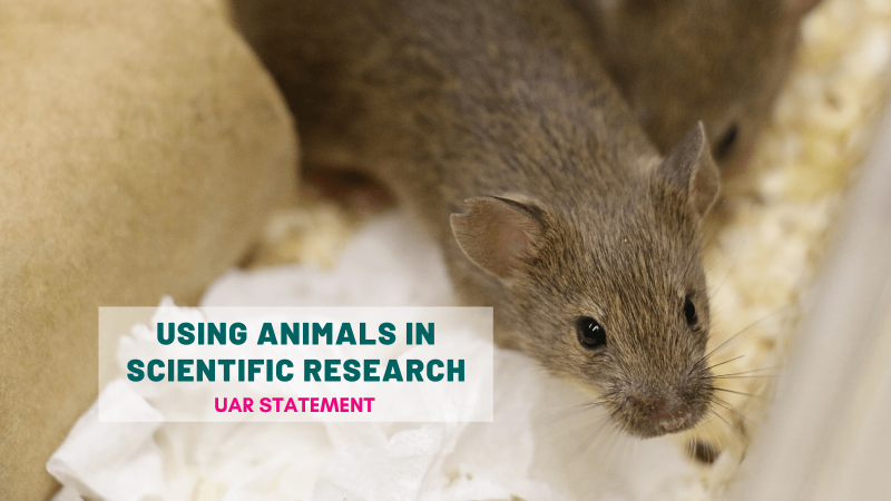 UAR statement about using animals in research