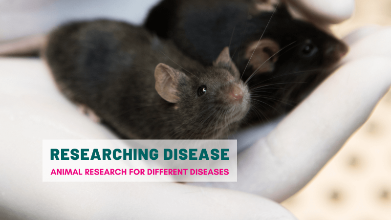 Researching disease